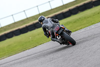 PJ-Motorsport-2019;anglesey-no-limits-trackday;anglesey-photographs;anglesey-trackday-photographs;enduro-digital-images;event-digital-images;eventdigitalimages;no-limits-trackdays;peter-wileman-photography;racing-digital-images;trac-mon;trackday-digital-images;trackday-photos;ty-croes